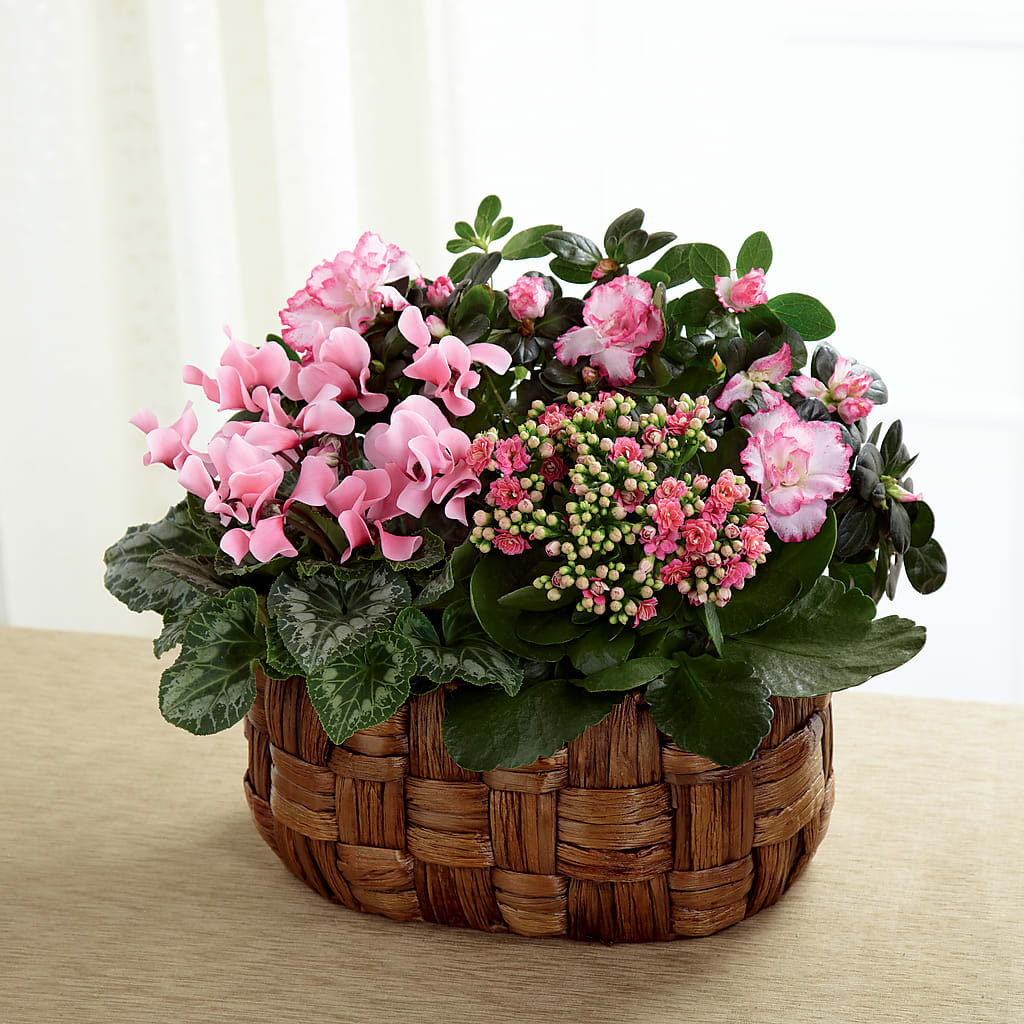 Pink Assortment – Forget-me-not Florist, Fort Recovery OH