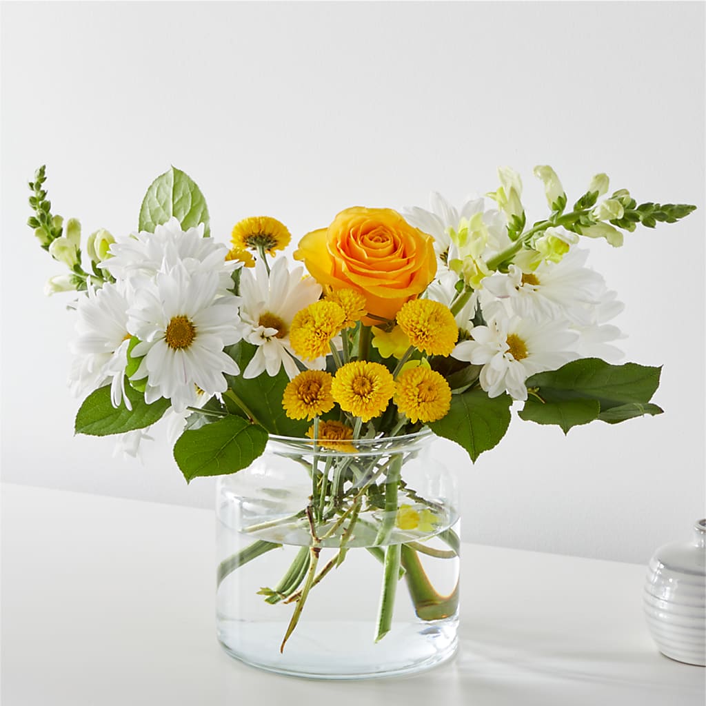 Sun Salutation Bouquet – Forget-me-not Florist, Fort Recovery OH