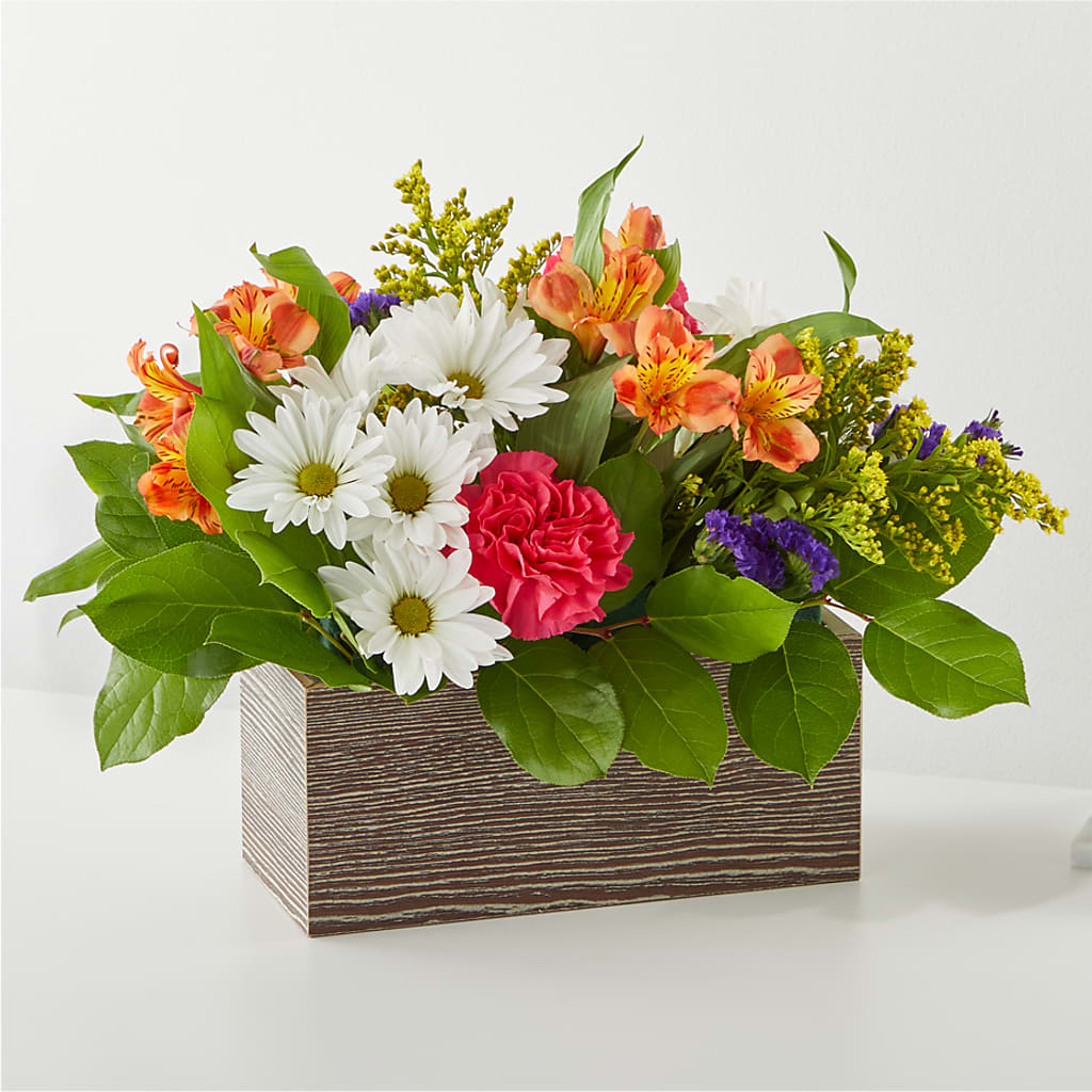Oopsie Daisy Box Bouquet – Forget-me-not Florist, Fort Recovery OH