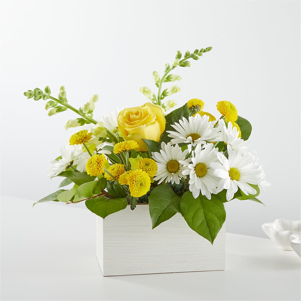 Sun Salutation Box Bouquet – Forget-me-not Florist, Fort Recovery OH