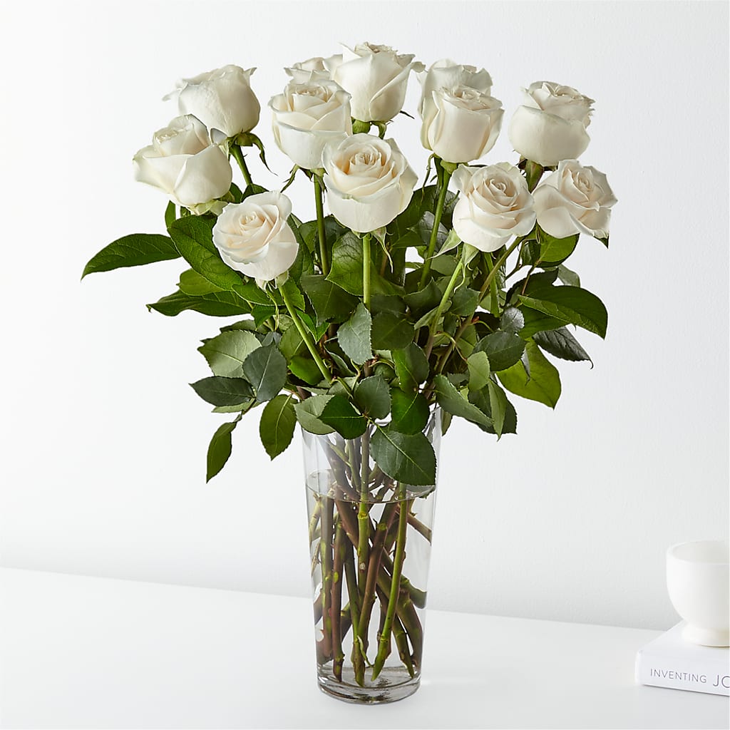 Long Stem White Rose Bouquet – Forget-me-not Florist, Fort Recovery OH