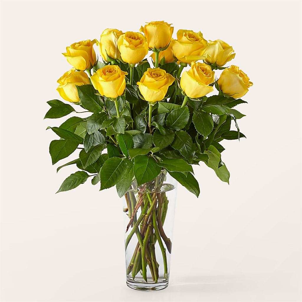 Long Stem Yellow Rose Bouquet – Forget-me-not Florist, Fort Recovery OH