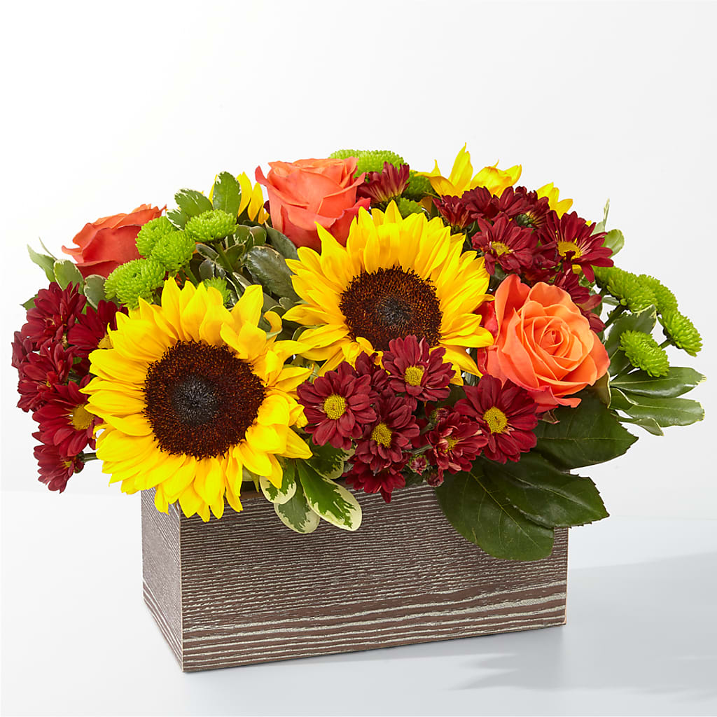 Happy Harvest Garden – Forget-me-not Florist, Fort Recovery OH