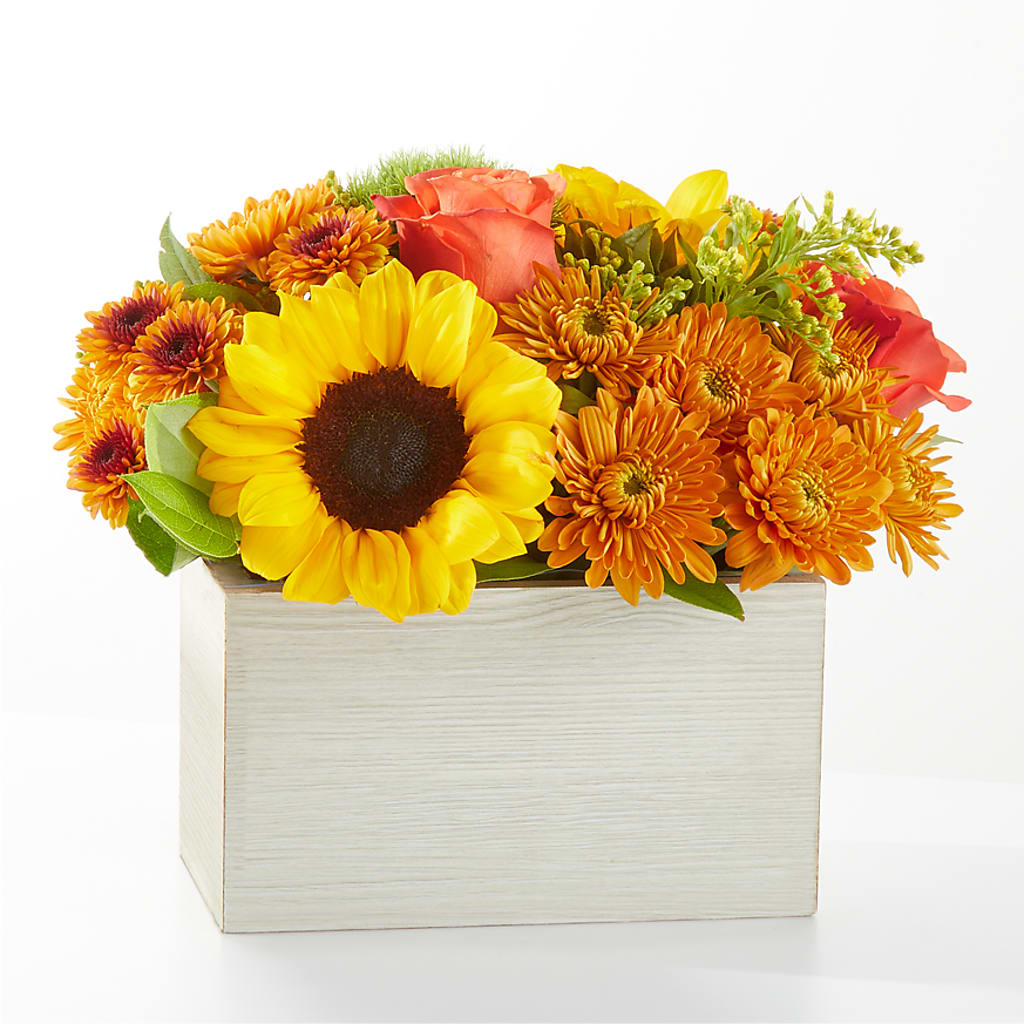 Farmer’s Market Stroll Bouquet – Forget-me-not Florist, Fort Recovery OH