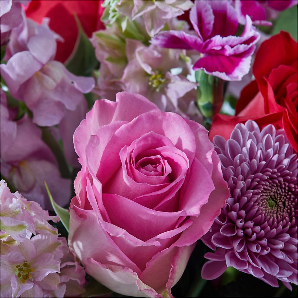 Better Together - A Luxury Florist Original – Forget-me-not Florist, Fort Recovery OH