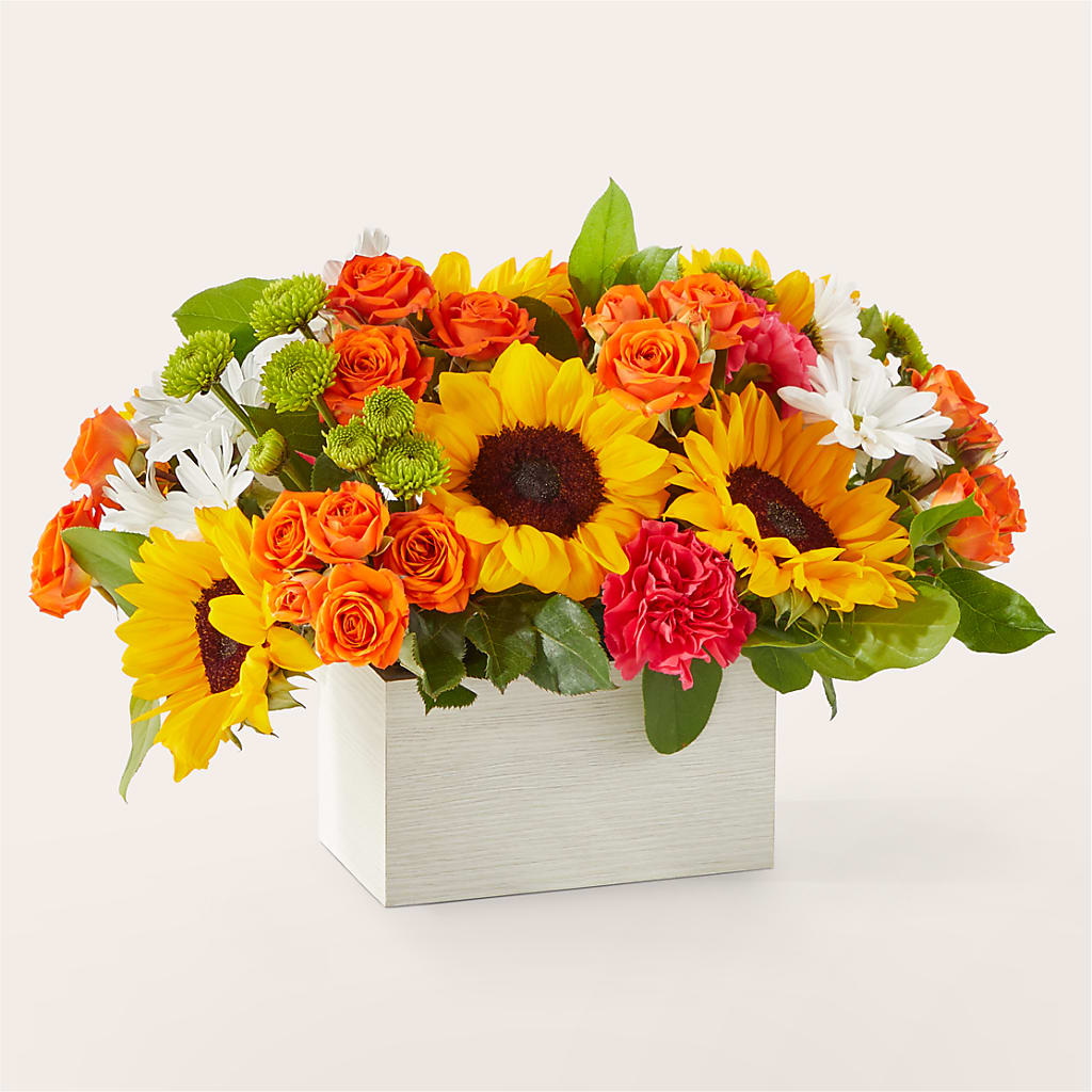 Sun-drenched Blooms Box Bouquet – Forget-me-not Florist, Fort Recovery OH