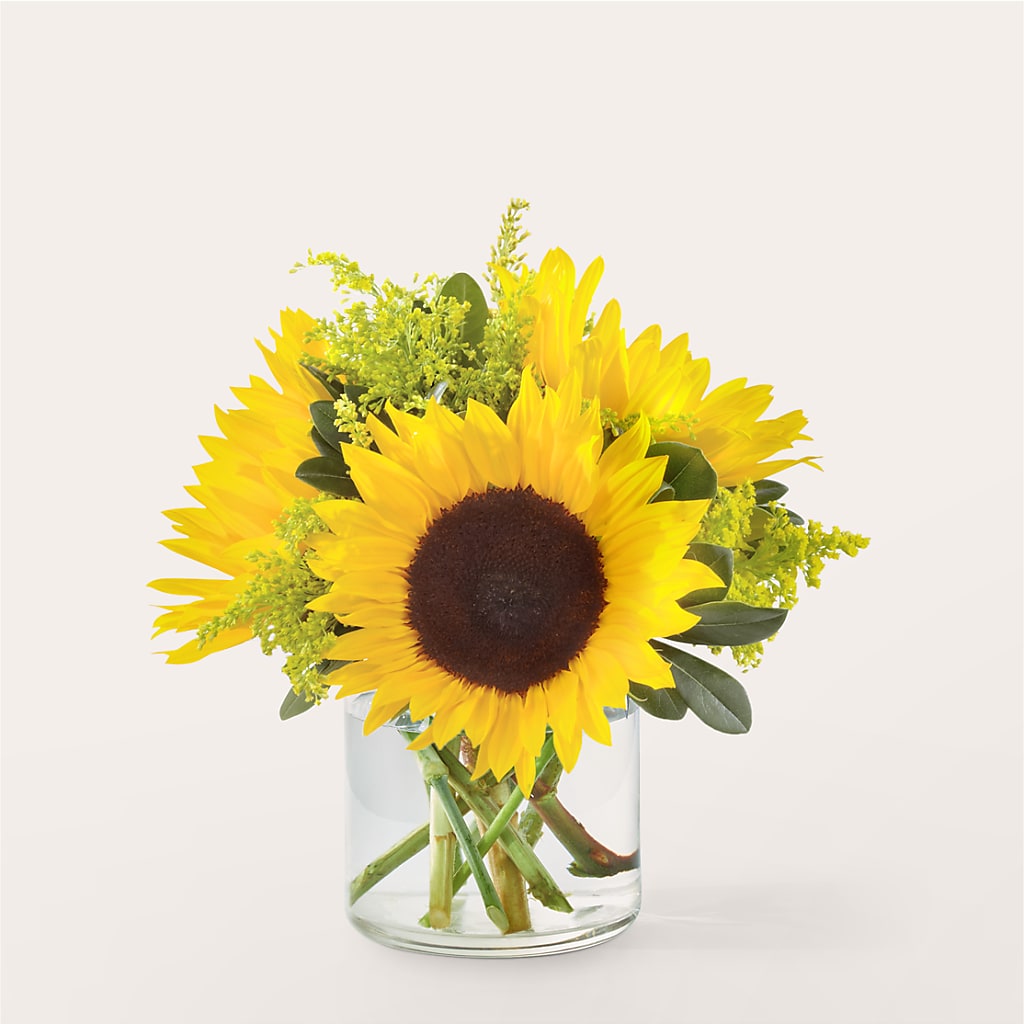 Beaming Sunflower Bouquet – Forget-me-not Florist, Fort Recovery OH