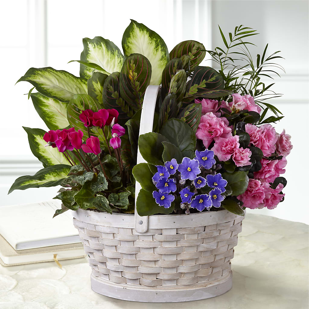 Peaceful Garden Planter – Forget-me-not Florist, Fort Recovery OH