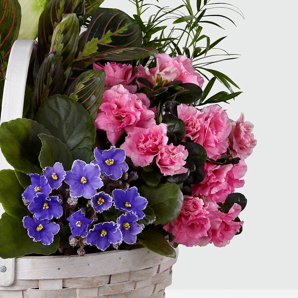 Peaceful Garden Planter – Forget-me-not Florist, Fort Recovery OH