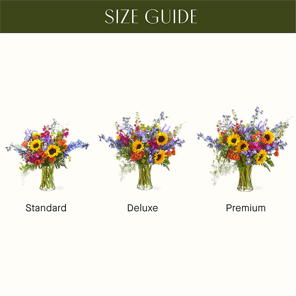 Rays of Life Bouquet – Forget-me-not Florist, Fort Recovery OH