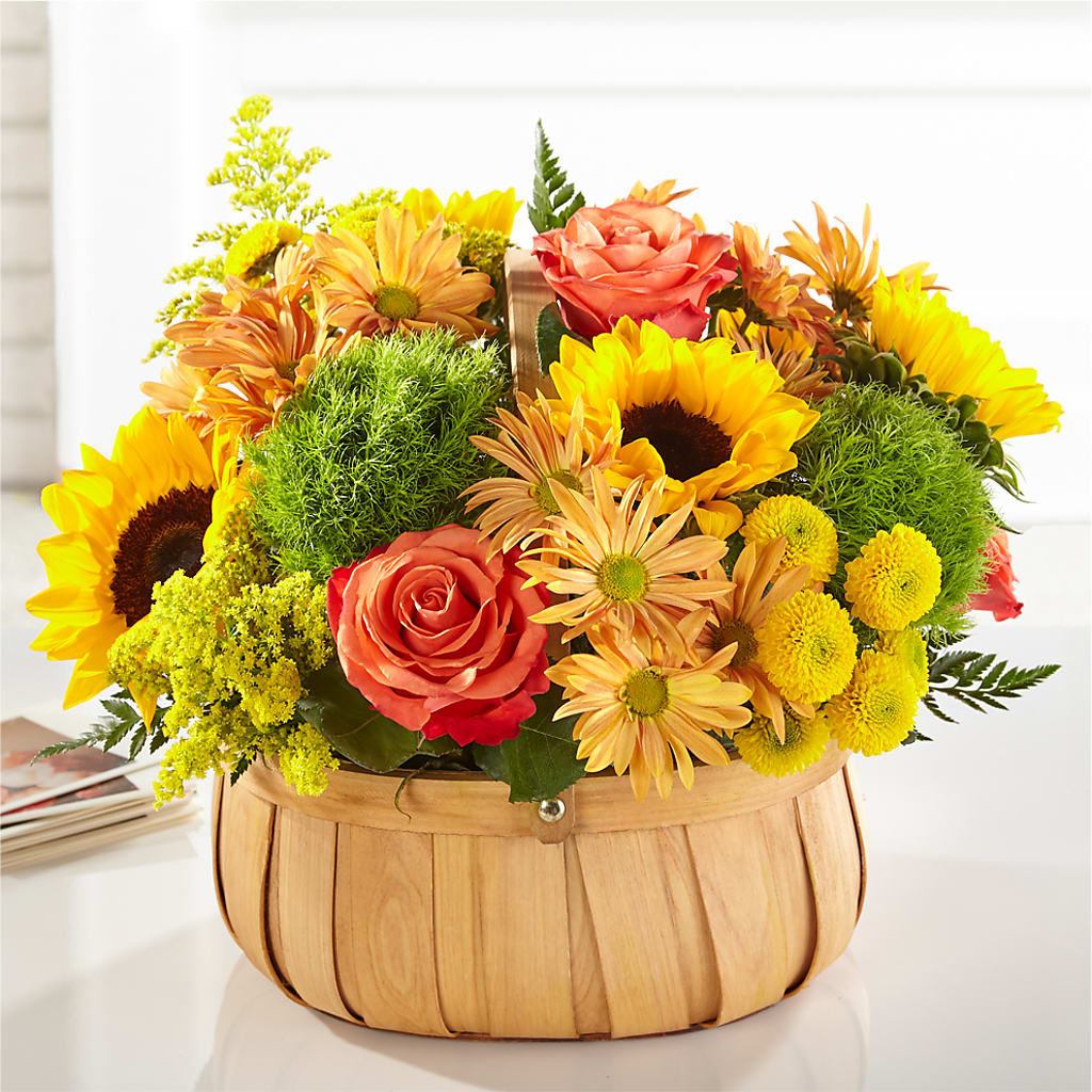 Harvest Sunflower Basket – Forget-me-not Florist, Fort Recovery OH