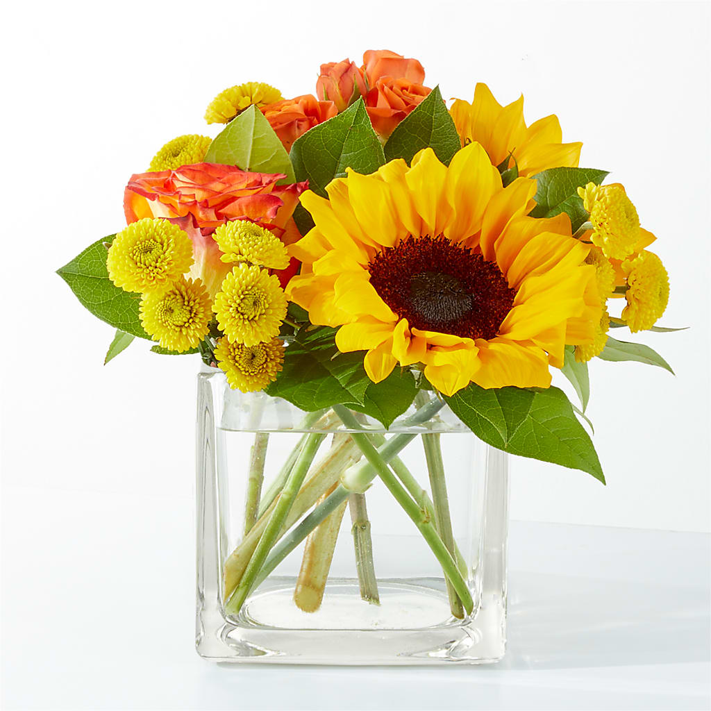 Picnic in the Park Bouquet – Forget-me-not Florist, Fort Recovery OH