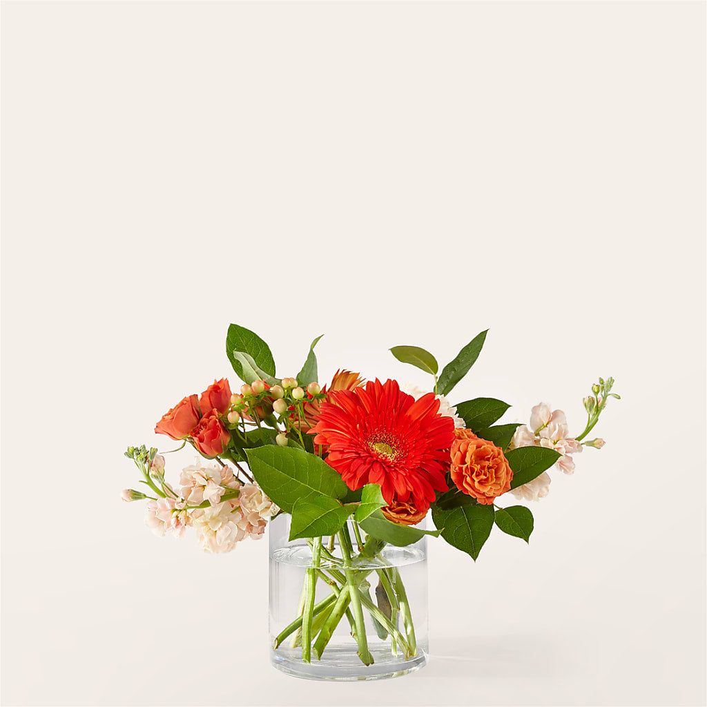 Paloma Please Bouquet – Forget-me-not Florist, Fort Recovery OH