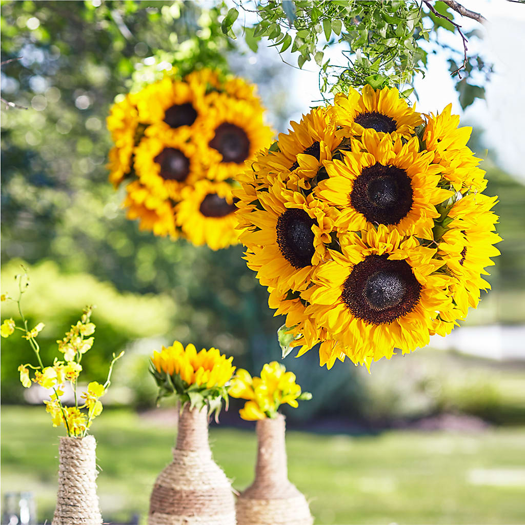 Sublime Garden Hanging Arrangement – Forget-me-not Florist, Fort Recovery OH