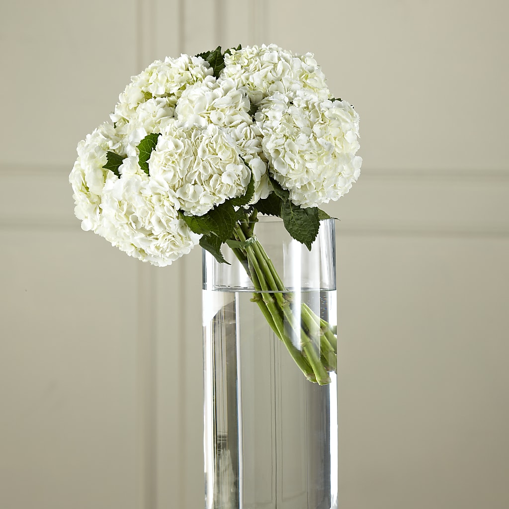 White Hydrangea Hand-Tied Bouquet – Forget-me-not Florist, Fort Recovery OH