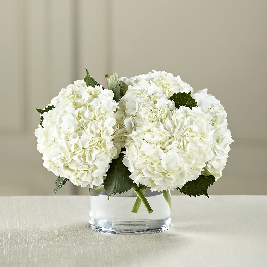 White Hydrangea Bouquet – Forget-me-not Florist, Fort Recovery OH