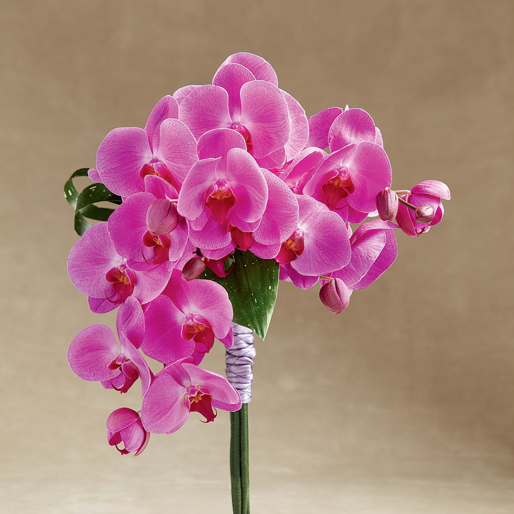 Glorious Bouquet – Forget-me-not Florist, Fort Recovery OH