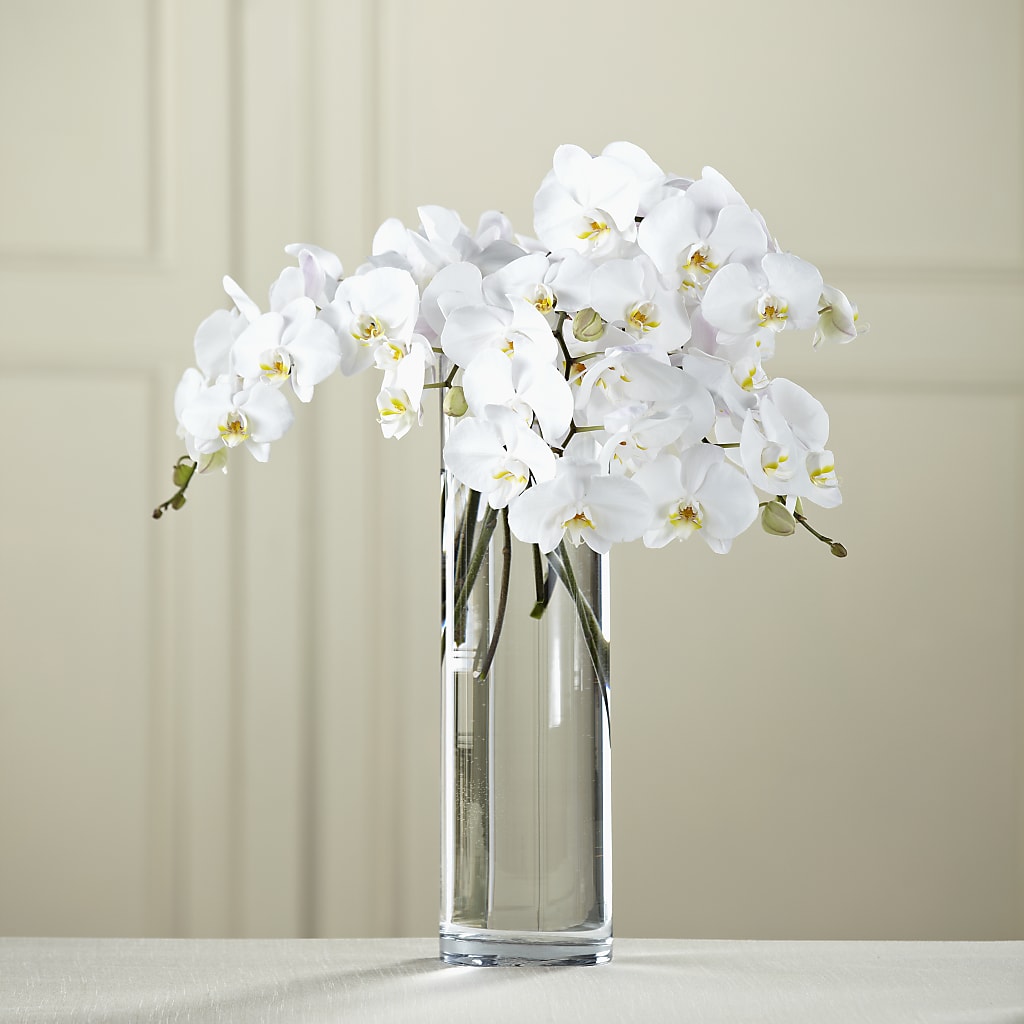White Phalaenopsis Bouquet – Forget-me-not Florist, Fort Recovery OH