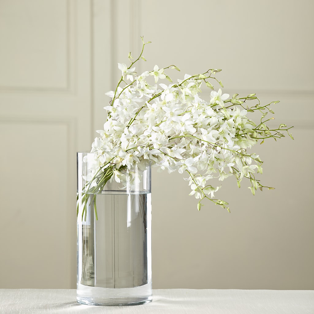 White Dendrobium Bouquet – Forget-me-not Florist, Fort Recovery OH