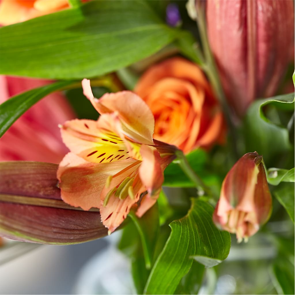 Bold & Bright – A Florist Original –  Forget-me-not Florist, Fort Recovery OH
