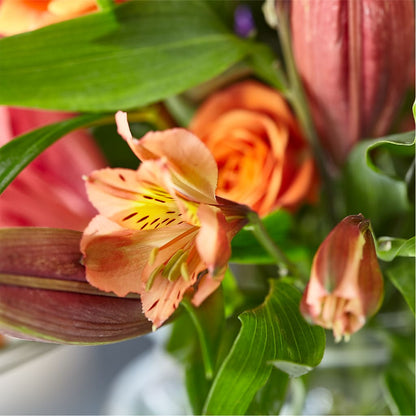 Bold & Bright – A Florist Original –  Forget-me-not Florist, Fort Recovery OH
