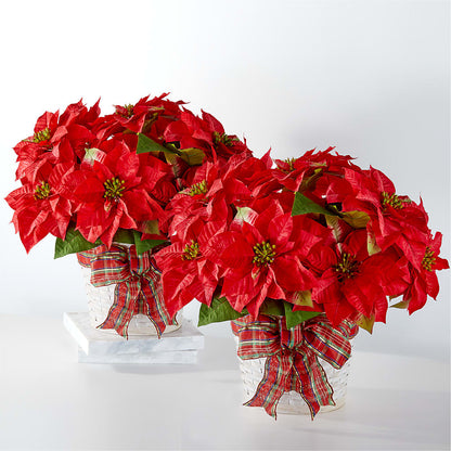 Happiest Holidays Poinsettia Bundle –  Forget-me-not Florist, Fort Recovery OH
