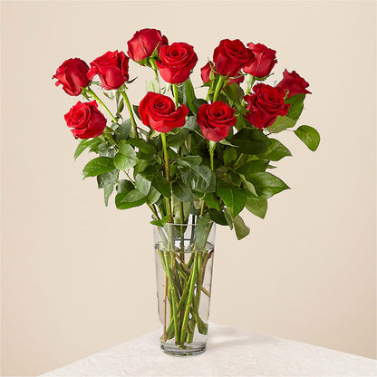 Long Stem Red Rose Bouquet –  Forget-me-not Florist, Fort Recovery OH