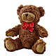 Adorable Plush Bear –  Forget-me-not Florist, Fort Recovery OH