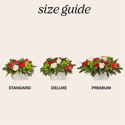 Snow What Fun Bouquet –  Forget-me-not Florist, Fort Recovery OH