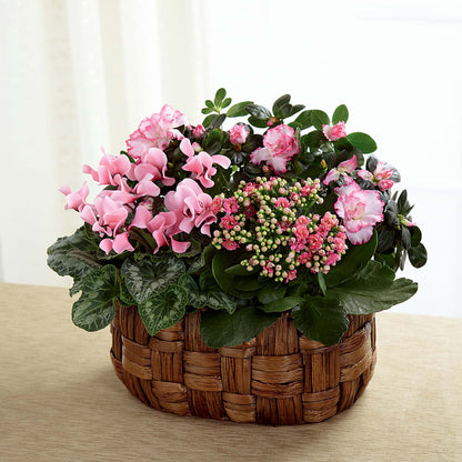 Pink Assortment –  Forget-me-not Florist, Fort Recovery OH