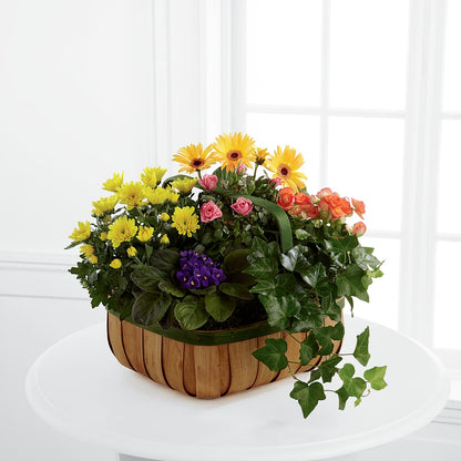 Gentle Blossoms Basket –  Forget-me-not Florist, Fort Recovery OH