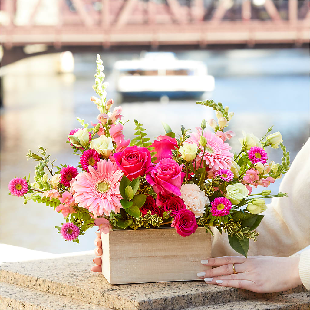 Too Cute Bouquet –  Forget-me-not Florist, Fort Recovery OH