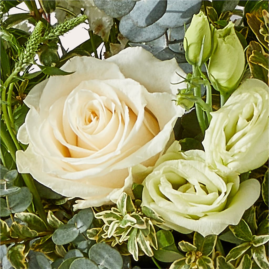 Cashmere Bouquet –  Forget-me-not Florist, Fort Recovery OH
