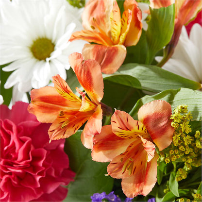 Oopsie Daisy Box Bouquet –  Forget-me-not Florist, Fort Recovery OH