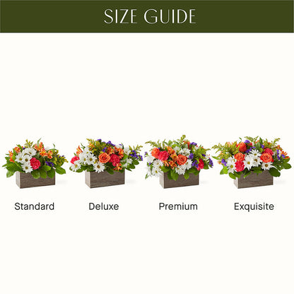 Oopsie Daisy Box Bouquet –  Forget-me-not Florist, Fort Recovery OH