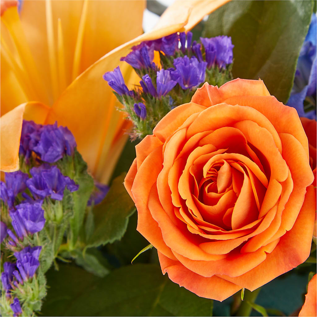 Radiant Citrus Box Bouquet –  Forget-me-not Florist, Fort Recovery OH