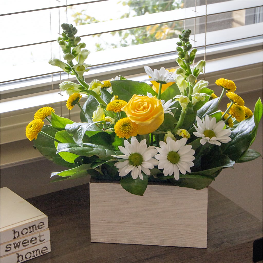 Sun Salutation Box Bouquet –  Forget-me-not Florist, Fort Recovery OH