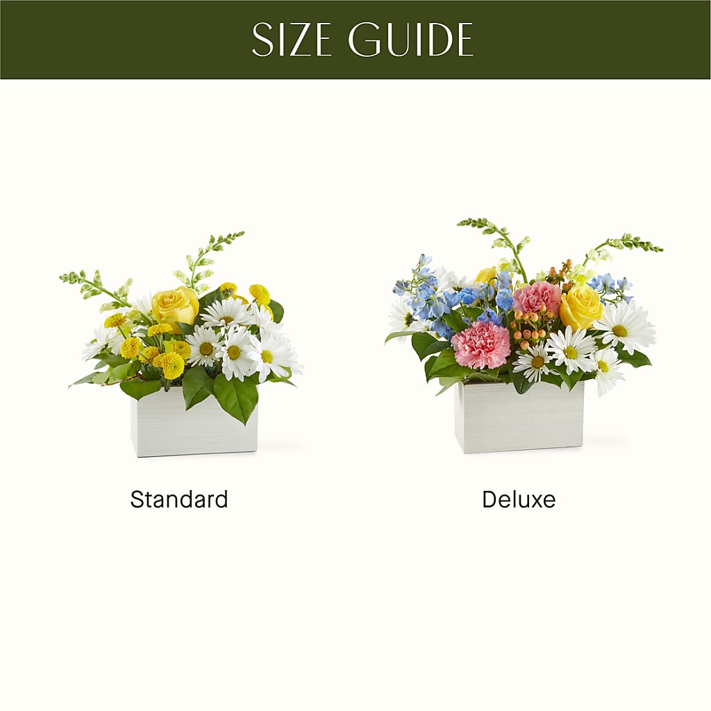 Sun Salutation Box Bouquet –  Forget-me-not Florist, Fort Recovery OH