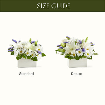 Beyond Blue Box Bouquet –  Forget-me-not Florist, Fort Recovery OH