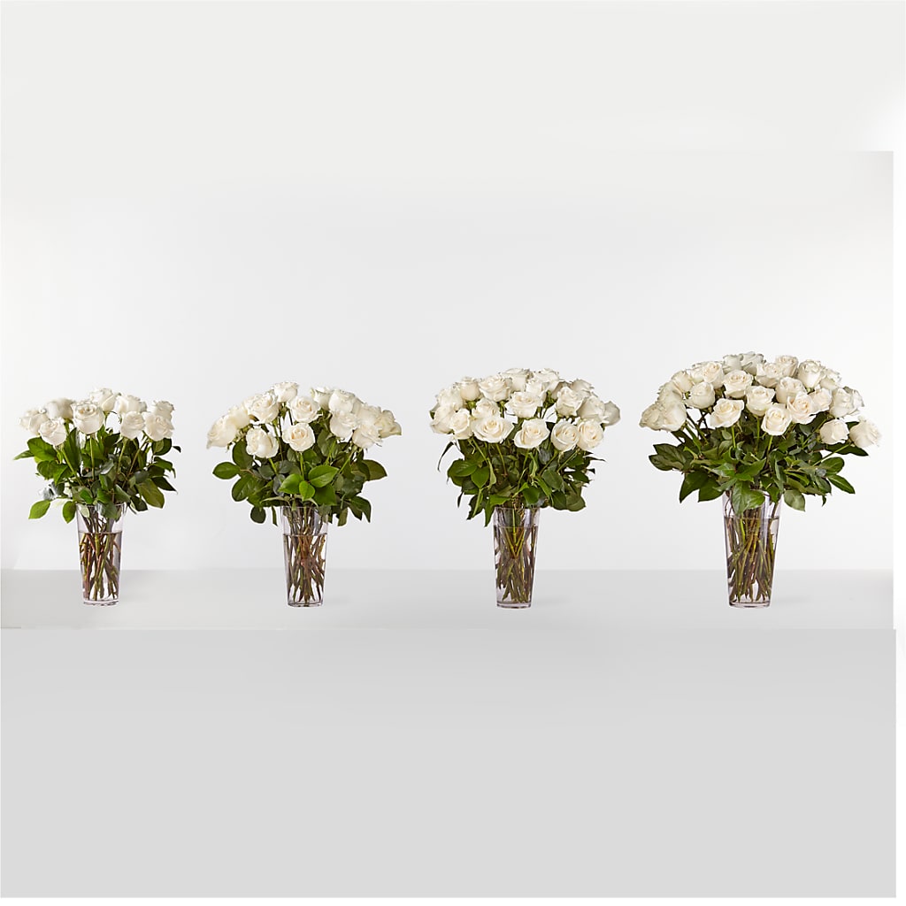 Long Stem White Rose Bouquet –  Forget-me-not Florist, Fort Recovery OH
