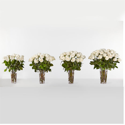 Long Stem White Rose Bouquet –  Forget-me-not Florist, Fort Recovery OH