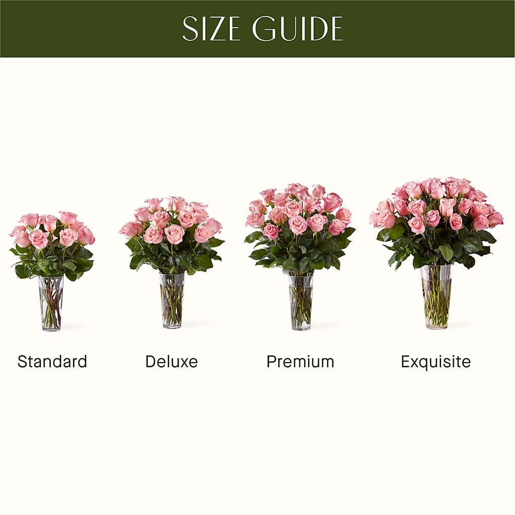 Long Stem Pink Rose Bouquet –  Forget-me-not Florist, Fort Recovery OH