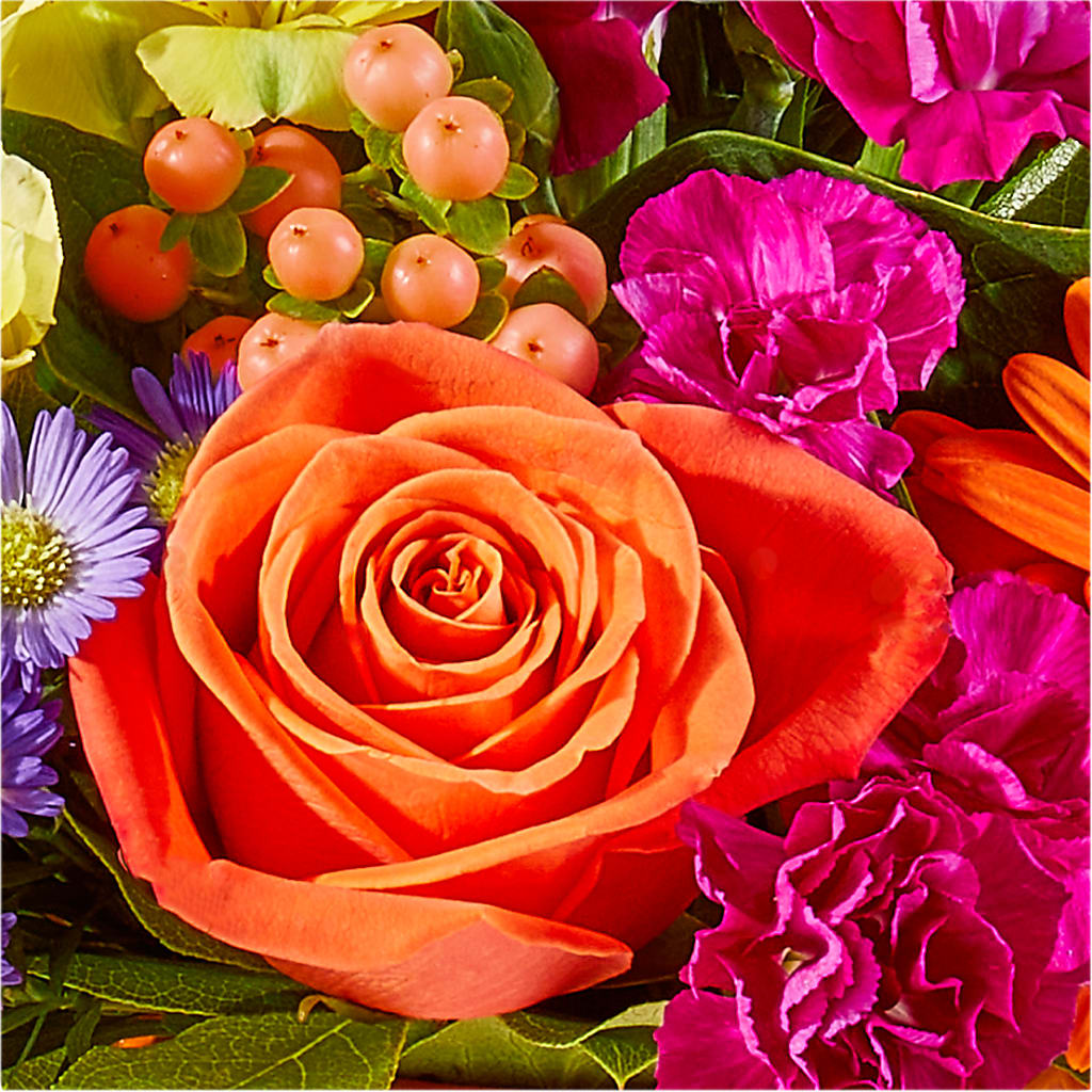Tricks & Treats Pumpkin –  Forget-me-not Florist, Fort Recovery OH
