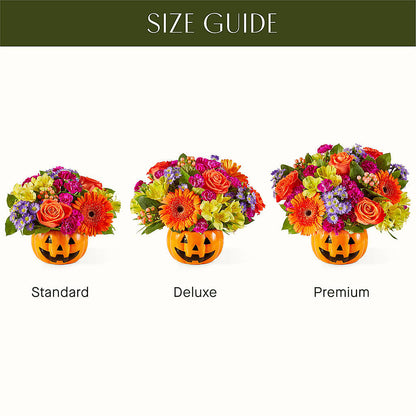 Tricks & Treats Pumpkin –  Forget-me-not Florist, Fort Recovery OH