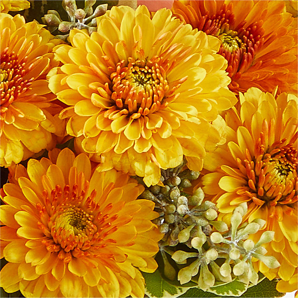 Peachy Pumpkin –  Forget-me-not Florist, Fort Recovery OH