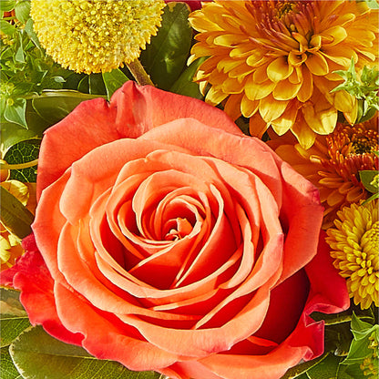 Gourdgeous Pumpkin –  Forget-me-not Florist, Fort Recovery OH