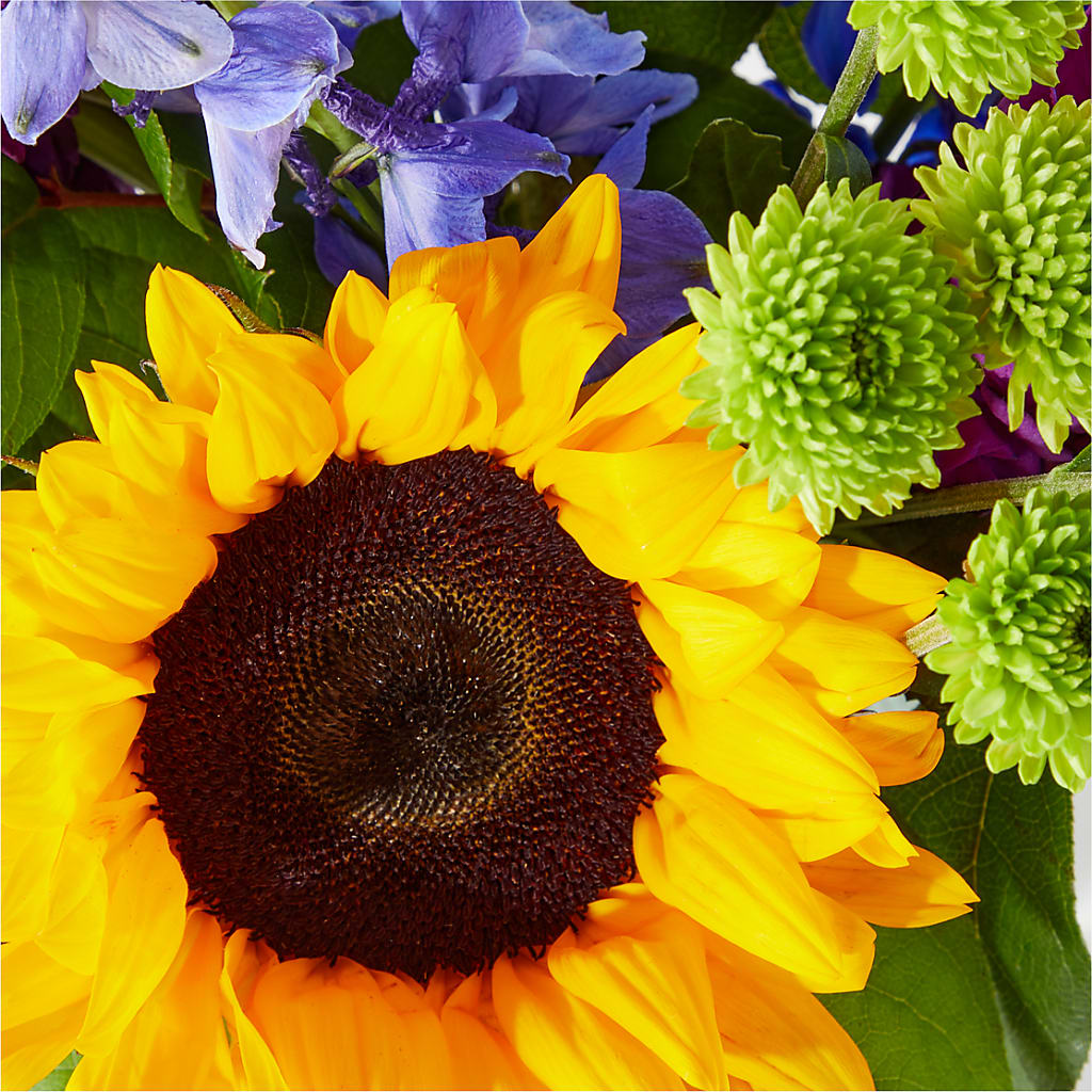 Catching Rays Bouquet –  Forget-me-not Florist, Fort Recovery OH