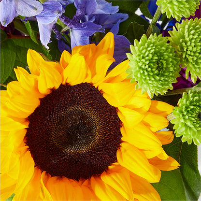 Catching Rays Bouquet –  Forget-me-not Florist, Fort Recovery OH