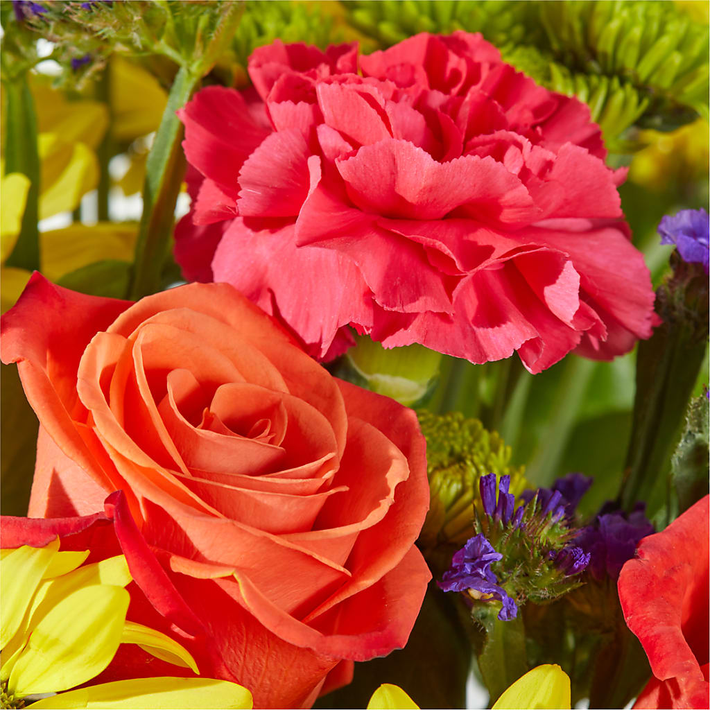 Brighter Days Bouquet –  Forget-me-not Florist, Fort Recovery OH