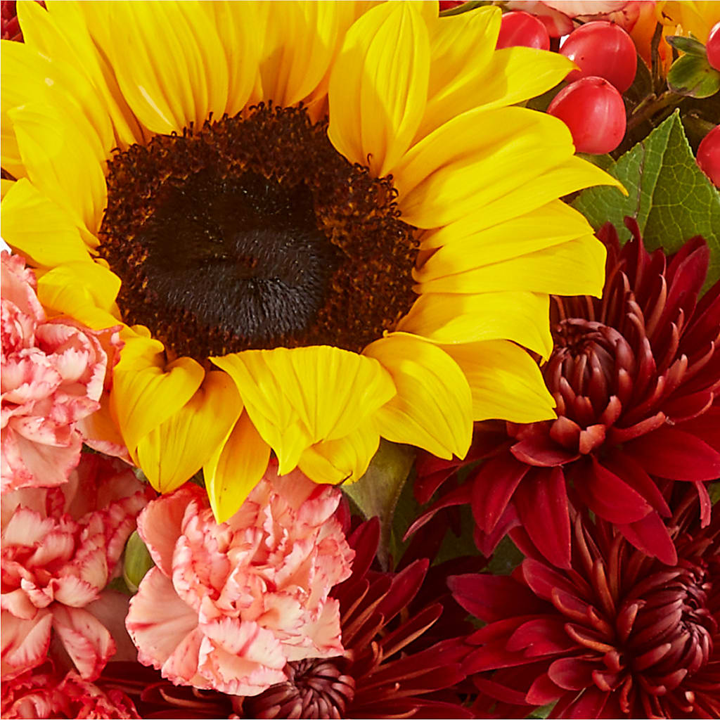 Fresh Cider Bouquet –  Forget-me-not Florist, Fort Recovery OH